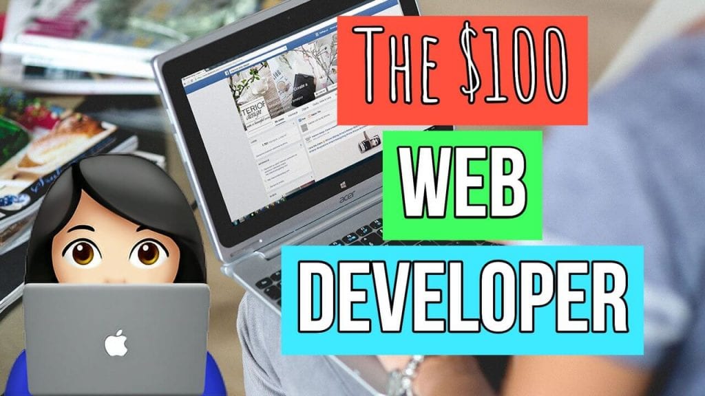 image of computer and cartoon woman with another computer with overlying text The $100 Web Developer