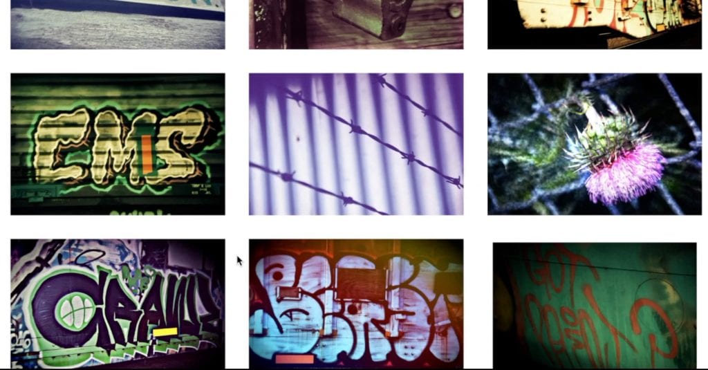 Image gallery of graffiti and railyard images including a prickly flower and barbed wire fence